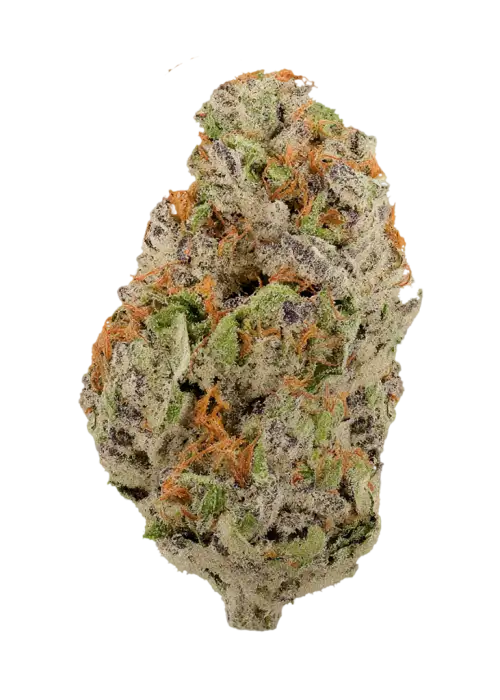 Orange Julius