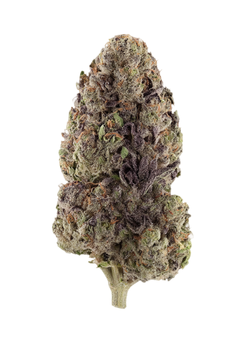 Black Raspberry
