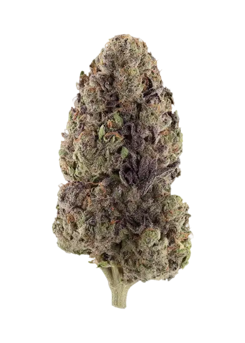 Black Raspberry