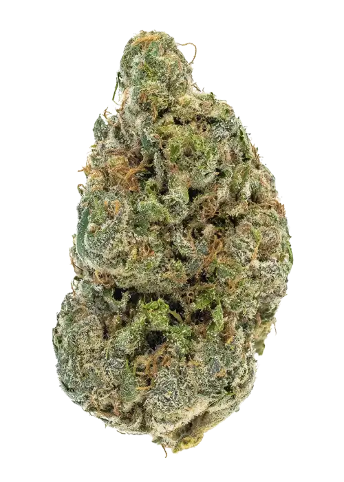 Royal Haze
