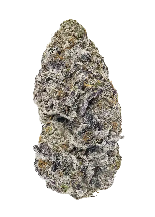 Landslide