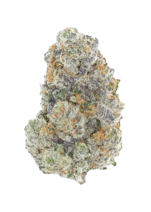 Sunset Sherbert