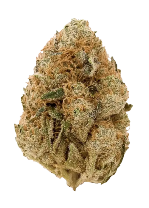 Sunset Sherbert