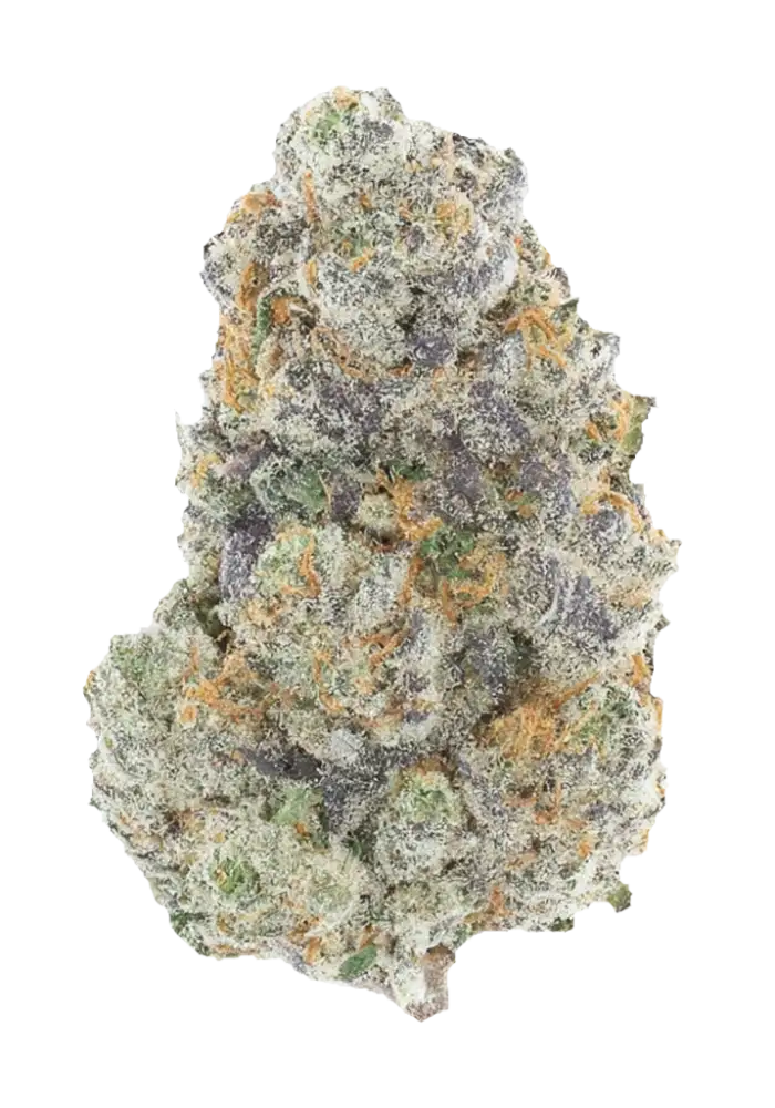 Sunset Sherbert