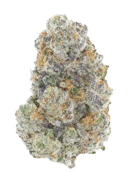 Sunset Sherbert