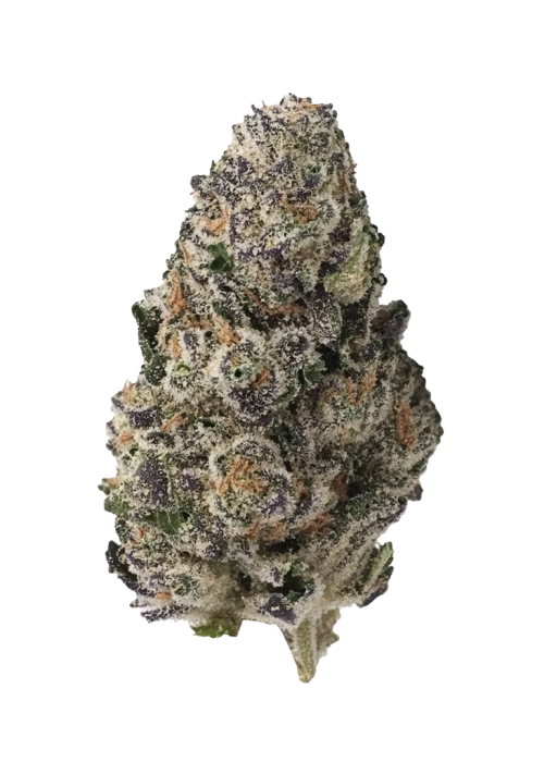 Pink Certz