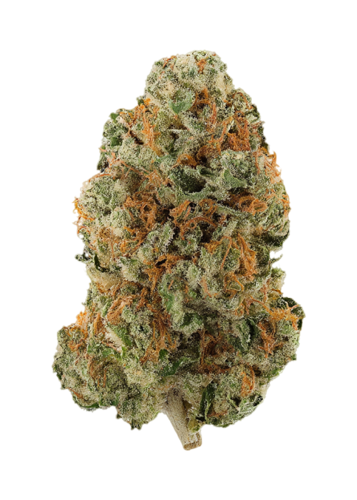 Pineapple Skunk