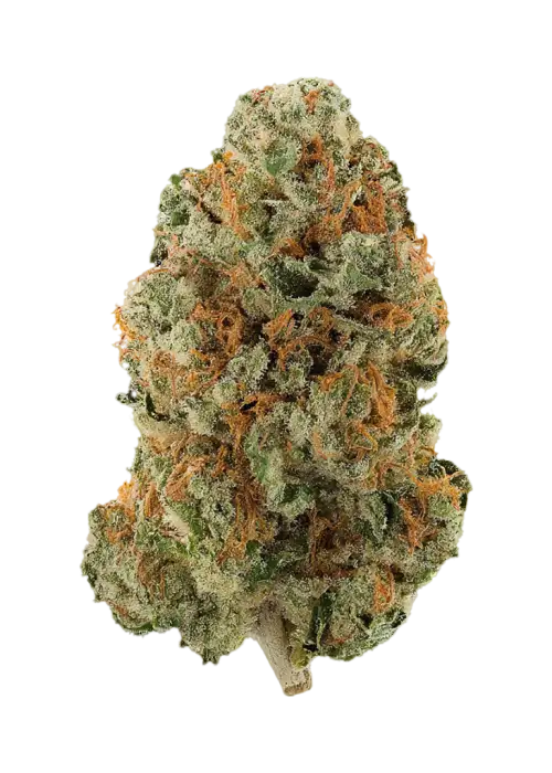 Pineapple Skunk