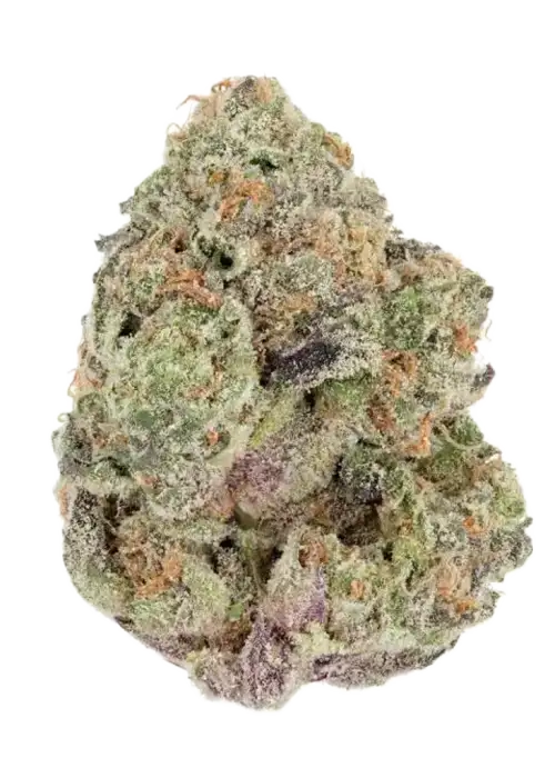 Lavender Haze