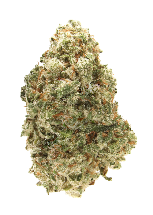 Casper OG