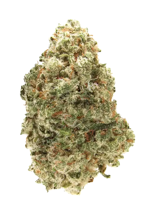 Casper OG