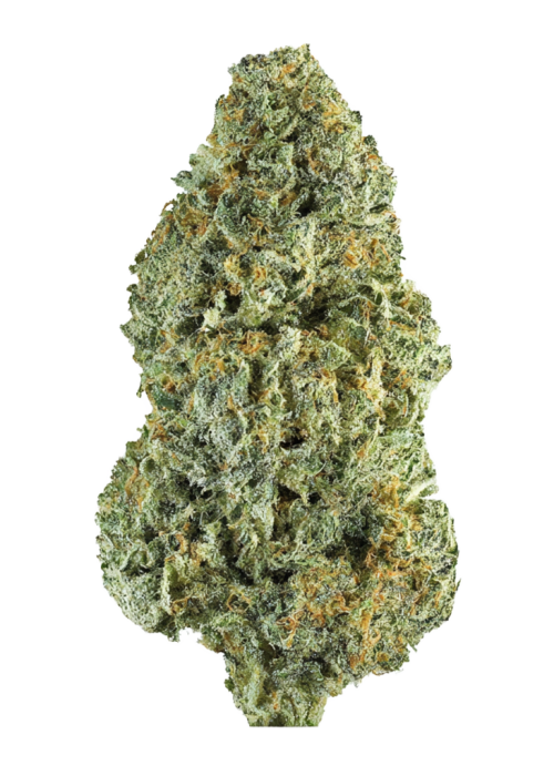 BTY OG