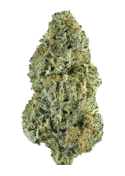 BTY OG