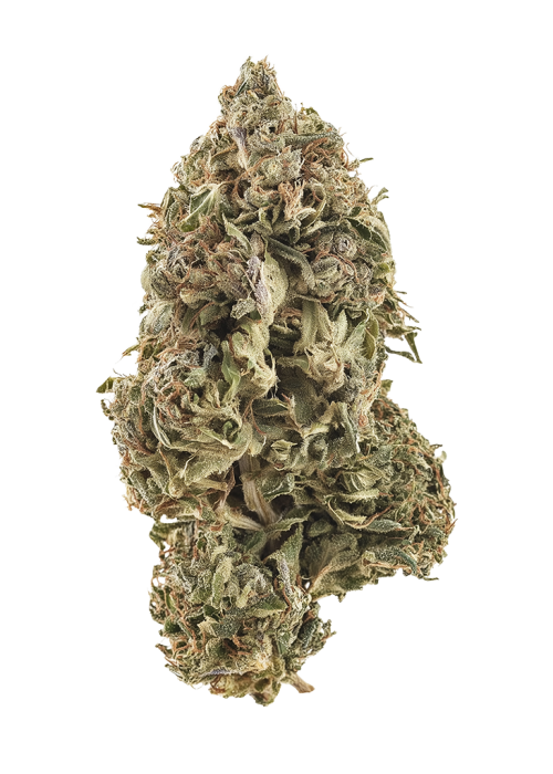 Cookie Breath