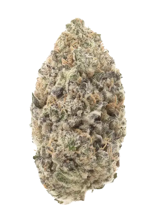 Peppermint Kush