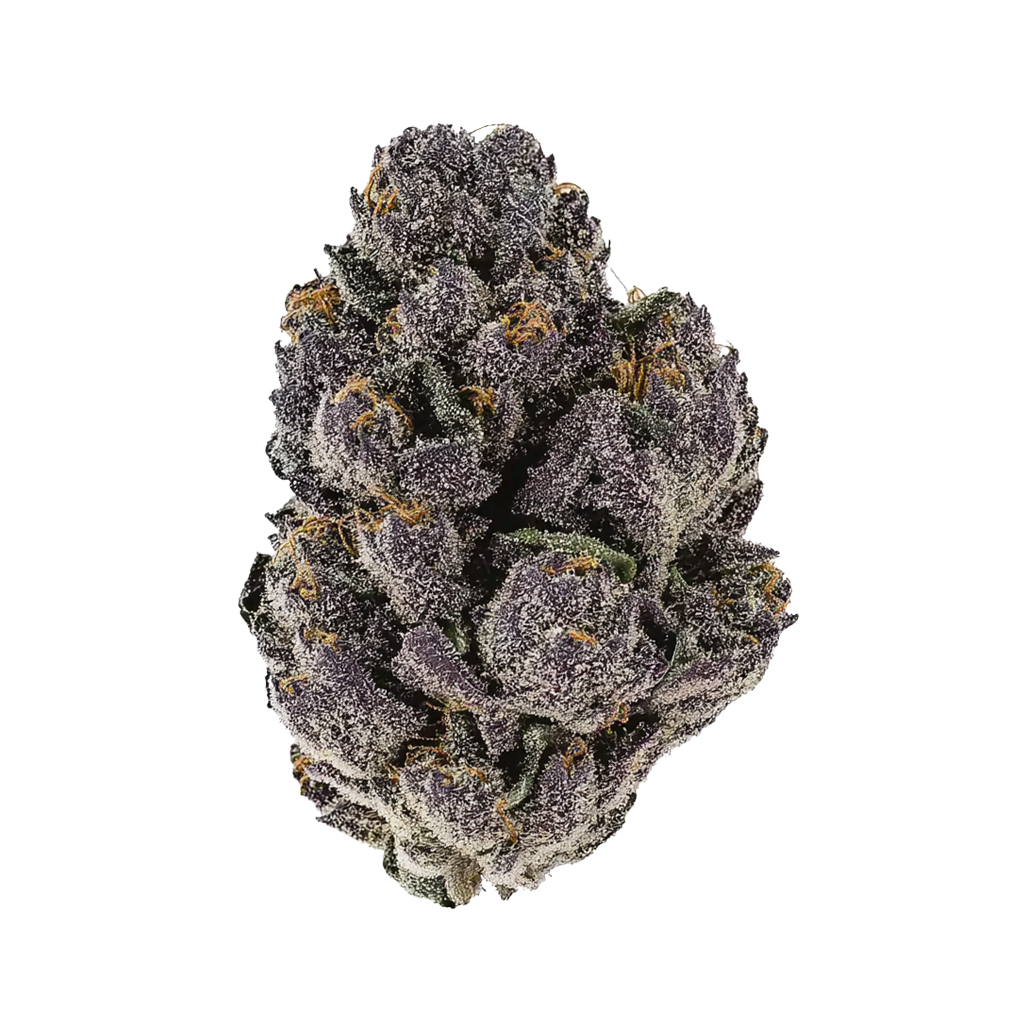 1900-lsd-25-auto.png