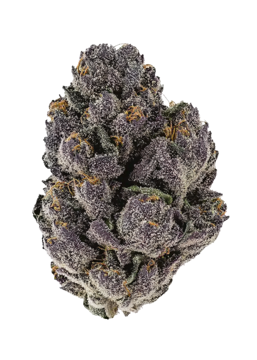 LSD-25 Auto