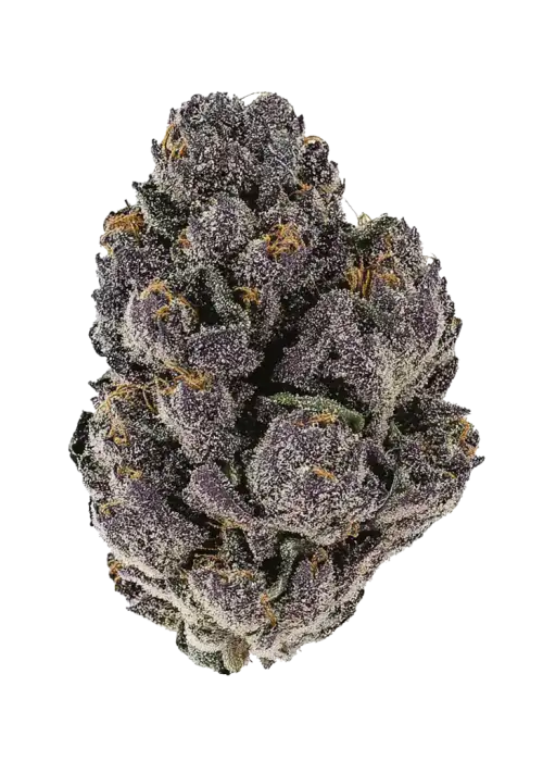 LSD-25 Auto