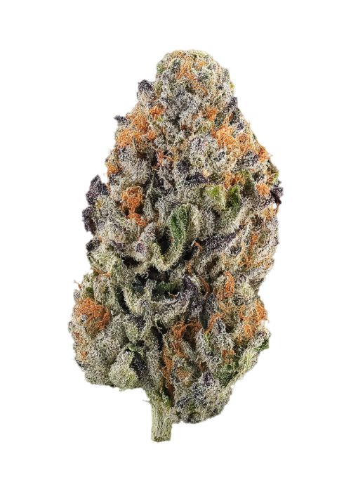 Magic Pineapple Gelato