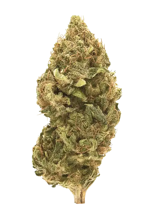 Sour Cake