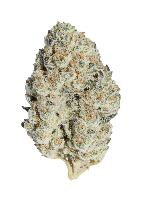 Banana Punch