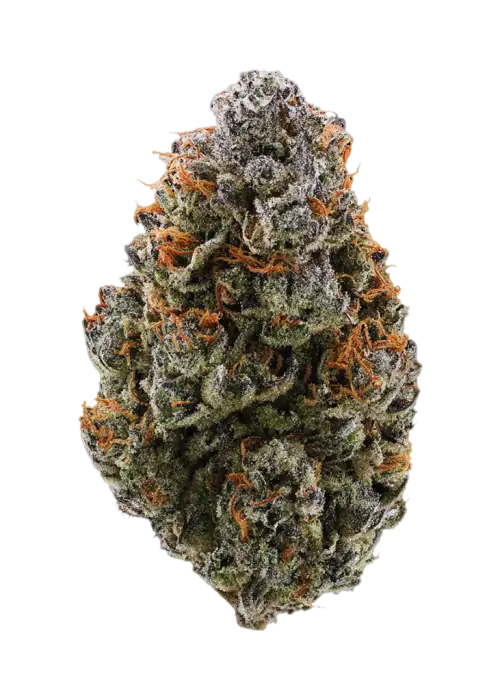 Purple Arrow