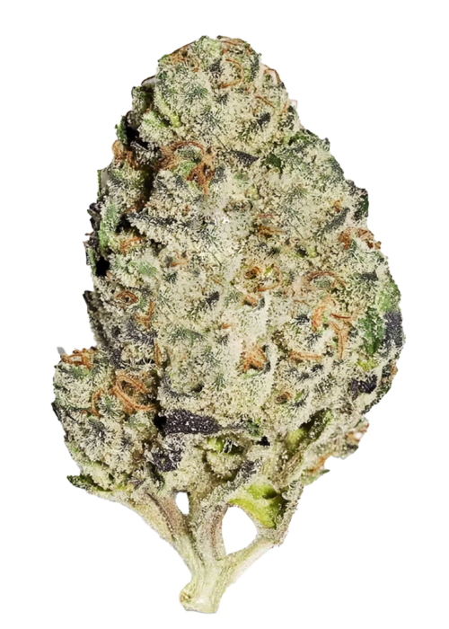 Tropicana Banana