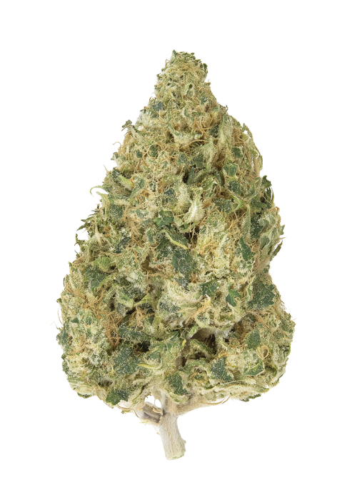 Lemon Margy