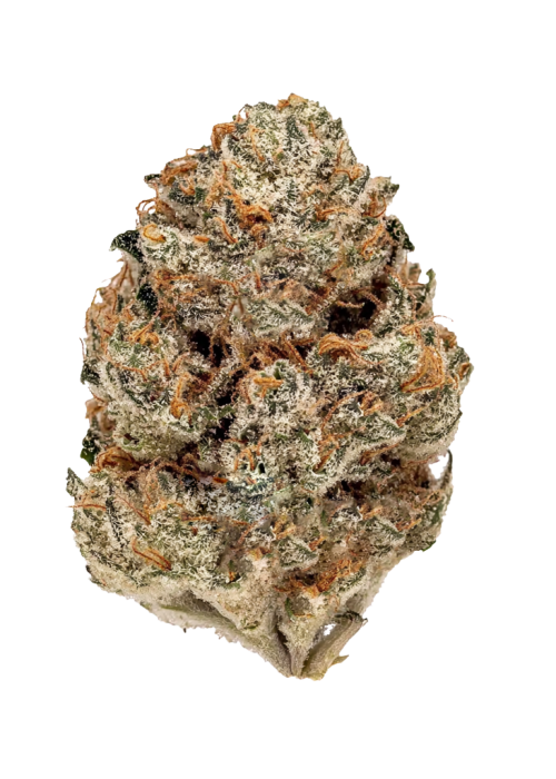 Melonade