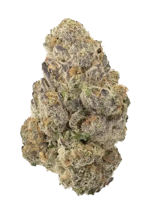 Sugar Mama