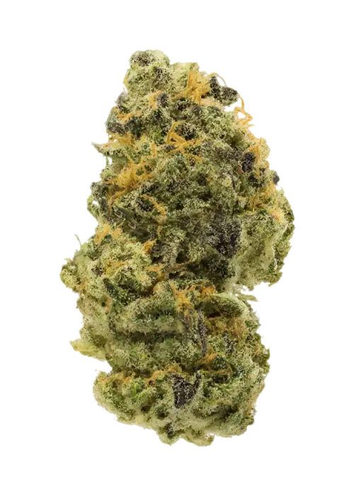 Lemon Daddy