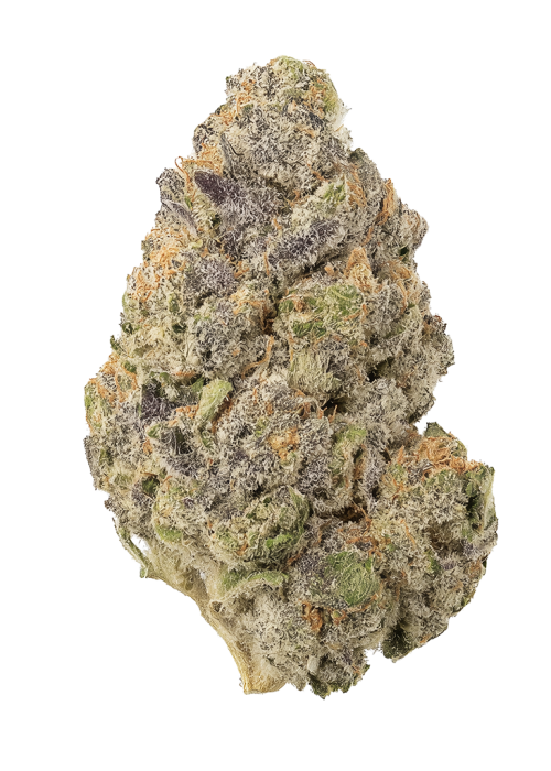 Swamp Thing