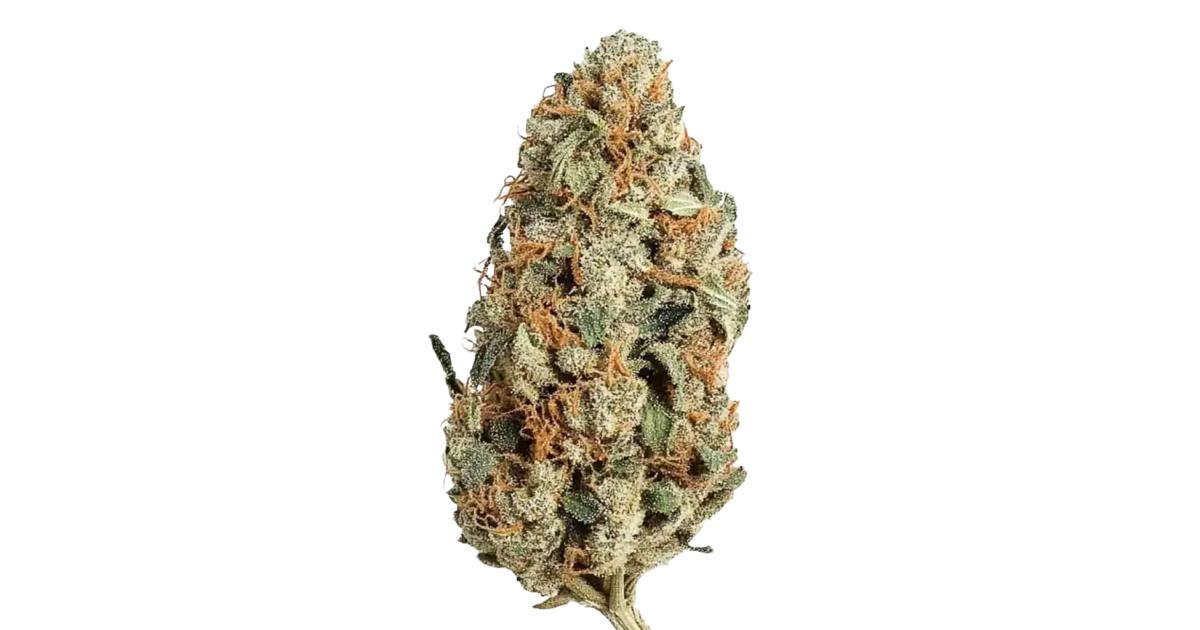 elfbar nachfüll pod läuft aus Session Cannabis Co.: Larry OG Cartridge main image 0