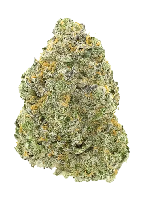 Chaos Kush