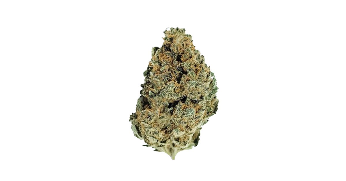 Purple Panty Dropper Cannabis Strain Information - GrowDiaries