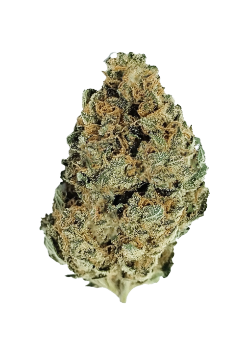 Purple Panty Dropper