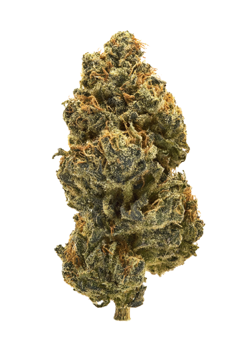 MMXX