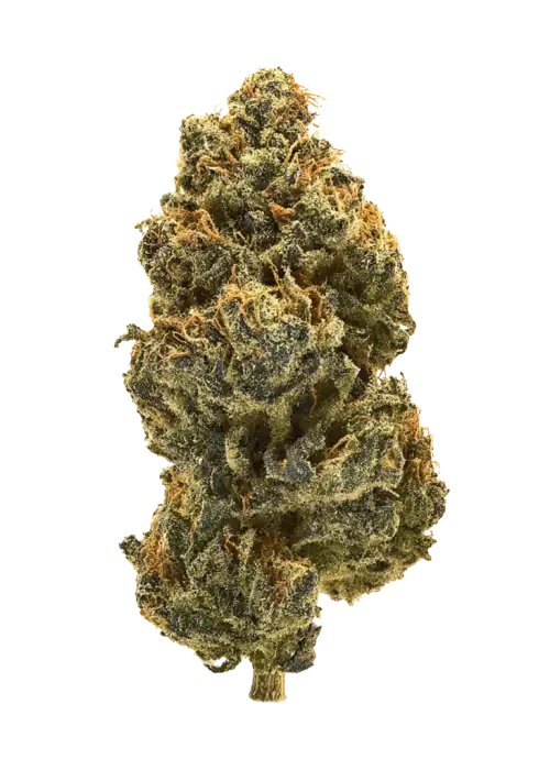 MMXX