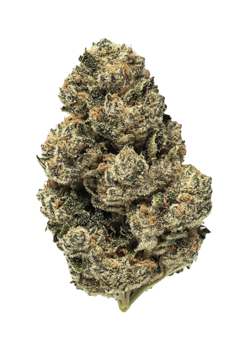 Venom OG