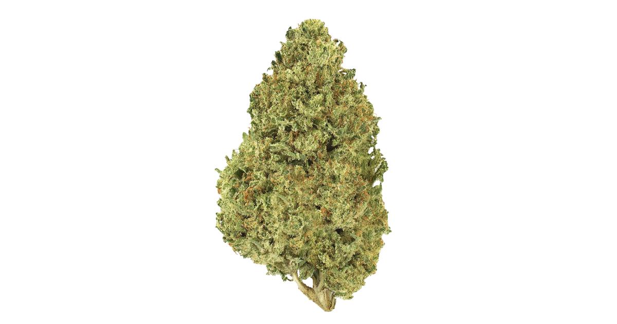 Citrus Sap cannabis strain