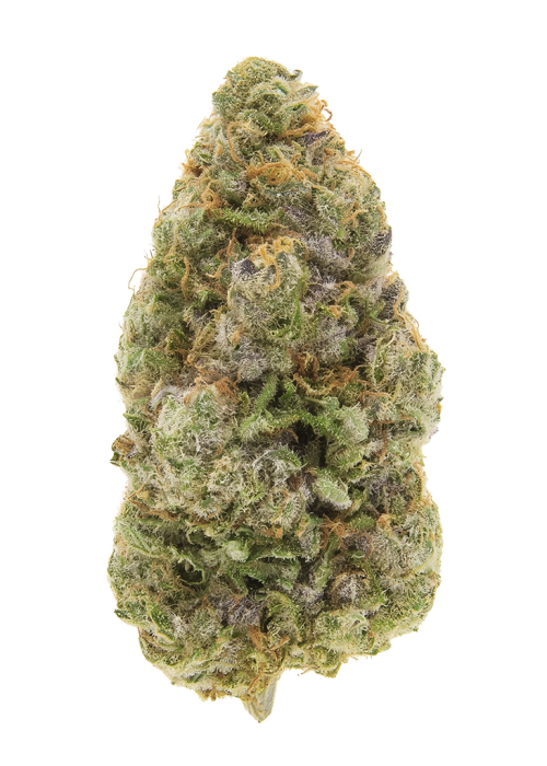 Lilac Cookies