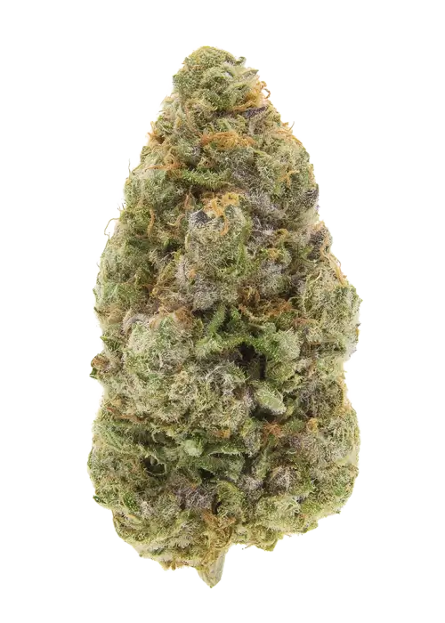 Lilac Cookies