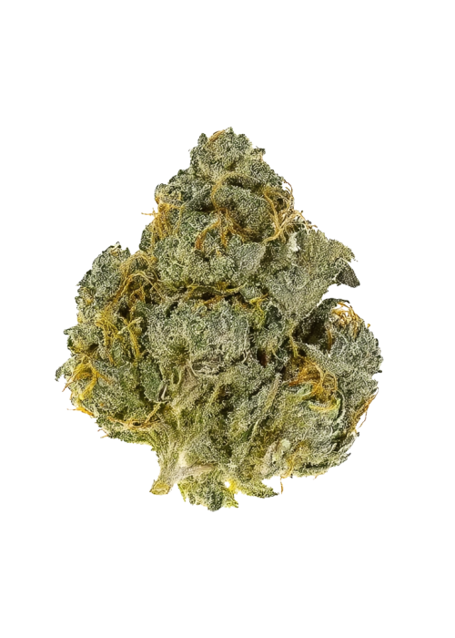 Stuffed Cherry Gelato