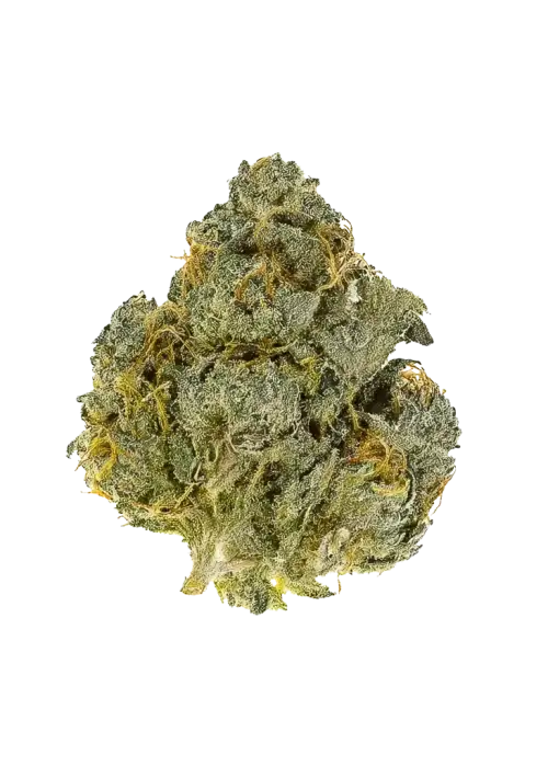 Stuffed Cherry Gelato