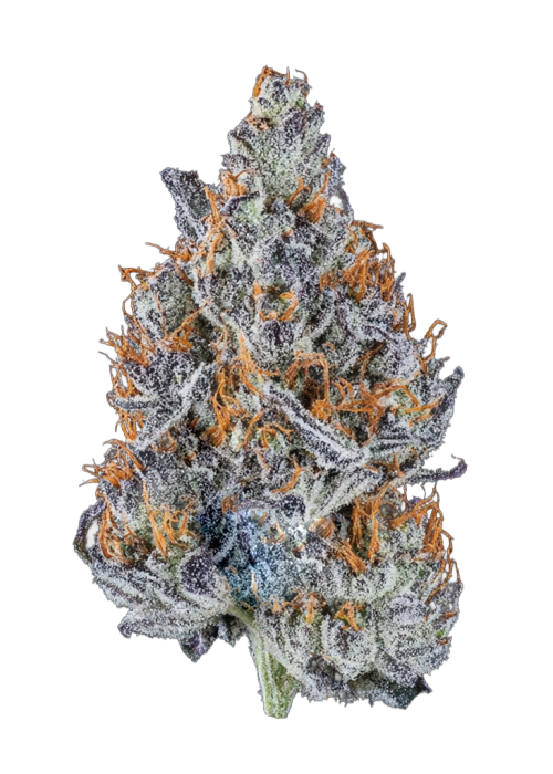 Blu Froot
