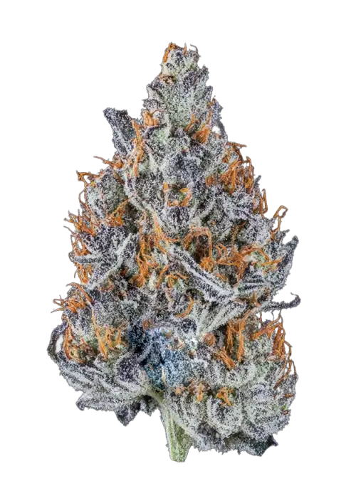 Blu Froot