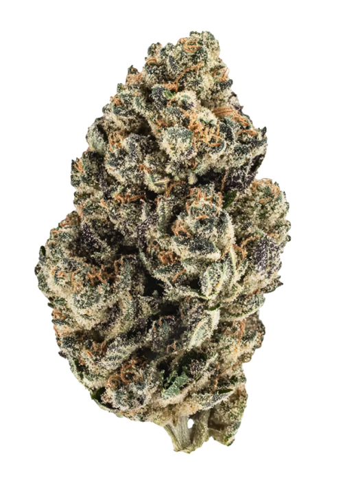 Warhead