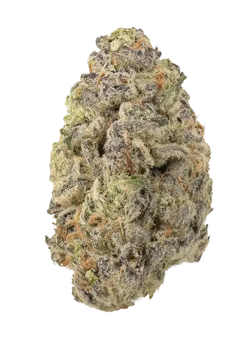 K2