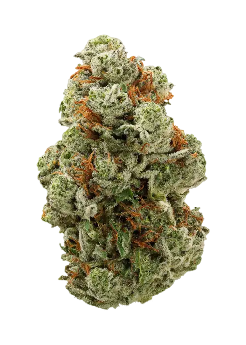 Wakanda OG