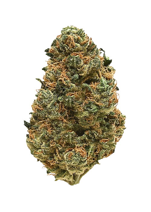 Apple Jack
